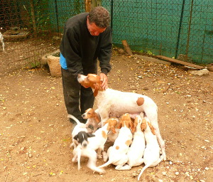 alvaro con i cuccioli